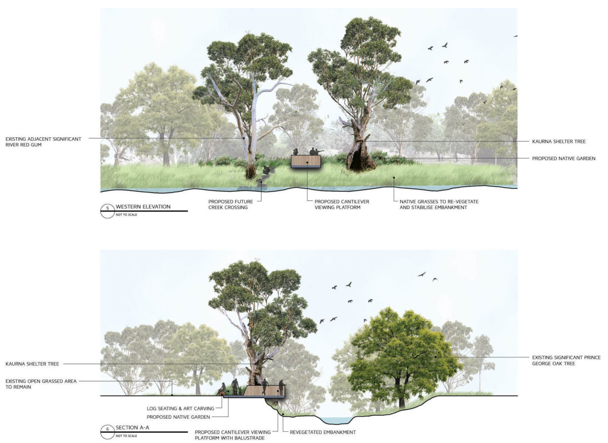 Kaurna-shelter-tree-concept5