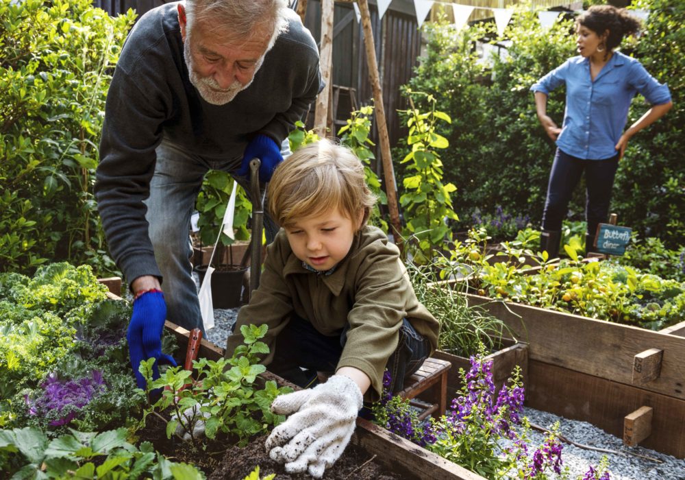 Aged Care & Independent Living work