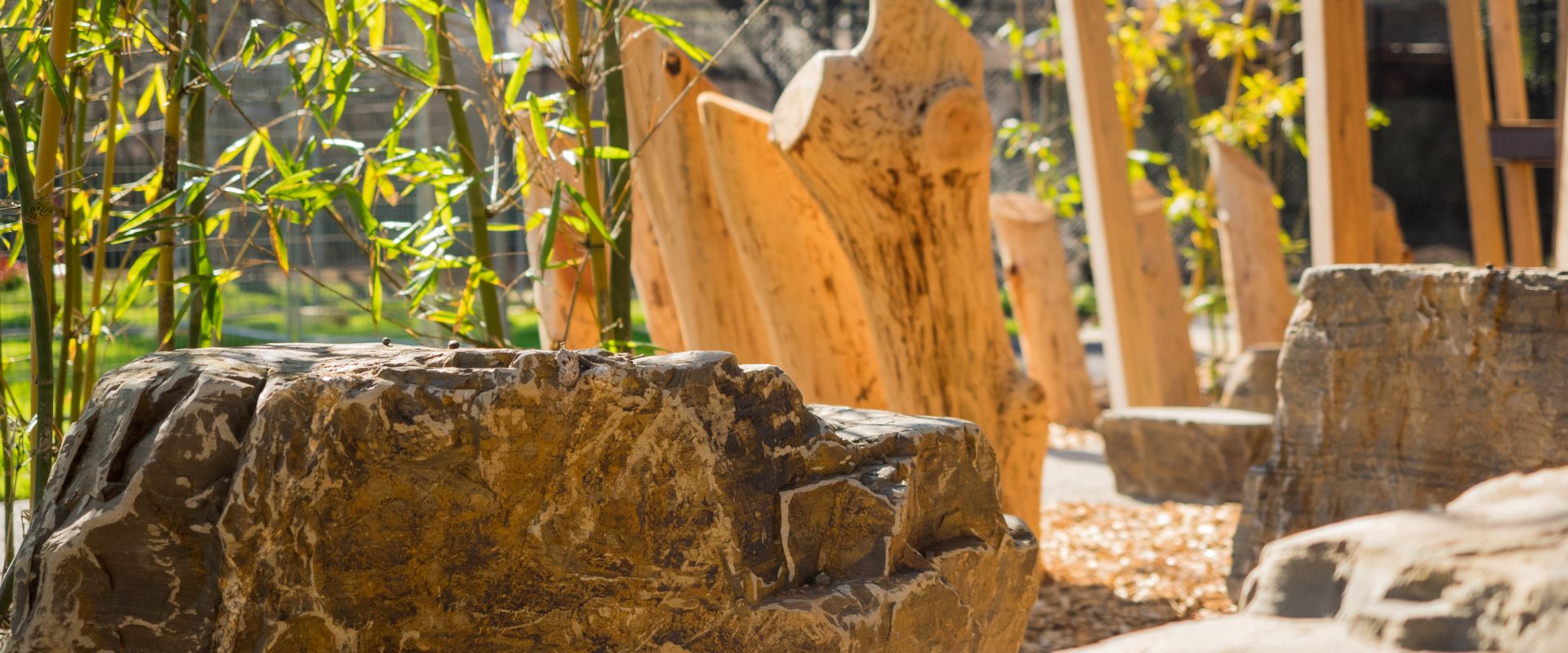 School play space with natural elements
